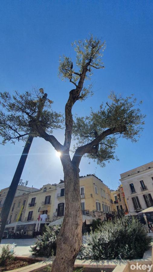 Dimora Donna Vittoria - Bari Vecchia Daire Dış mekan fotoğraf